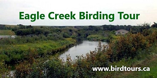 Imagen principal de Eagle Creek and Hills Birding Tour