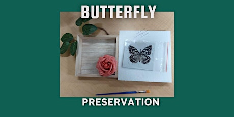 Virtual Camp: Butterfly Preservation primary image