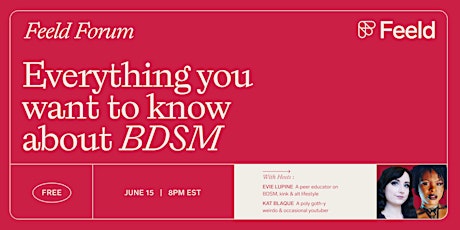 Everything you want to know about BDSM primary image