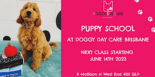 Puppy School with Doggy Day Care Brisbane primary image