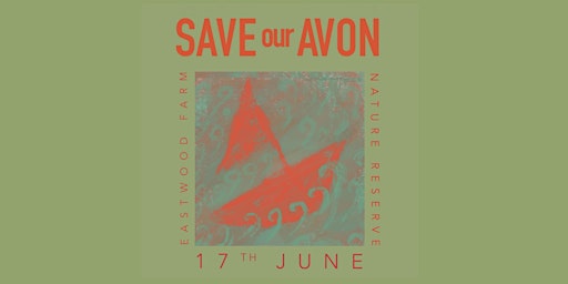 Save Our Avon primary image