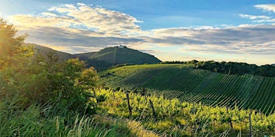 Imagen principal de Die DRITTE AlpineFoxes-Weinwanderung 2024