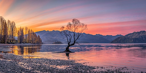 Hauptbild für New Zealand, South Island Photographic Experience - Autumn 2024