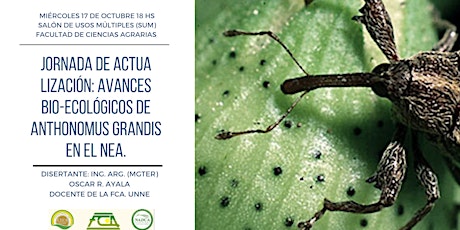 Imagen principal de JORNADA DE ACTUALIZACIÓN: "Avances bio-ecologicos de Anthonomus grandis en el NEA".