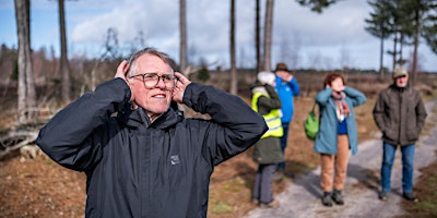 Imagem principal do evento Beleef de Stilte wandeling in Hamont Achel