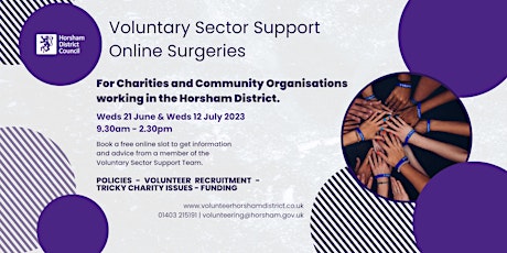 Voluntary Sector Support Online Surgeries primary image