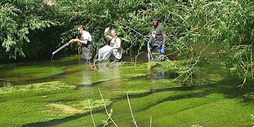 Imagem principal de Kingsmead and River Wye Clean and Clear Day