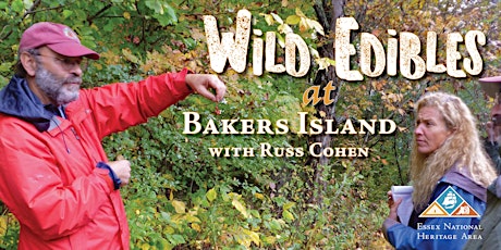 Wild Edibles at Bakers Island Light