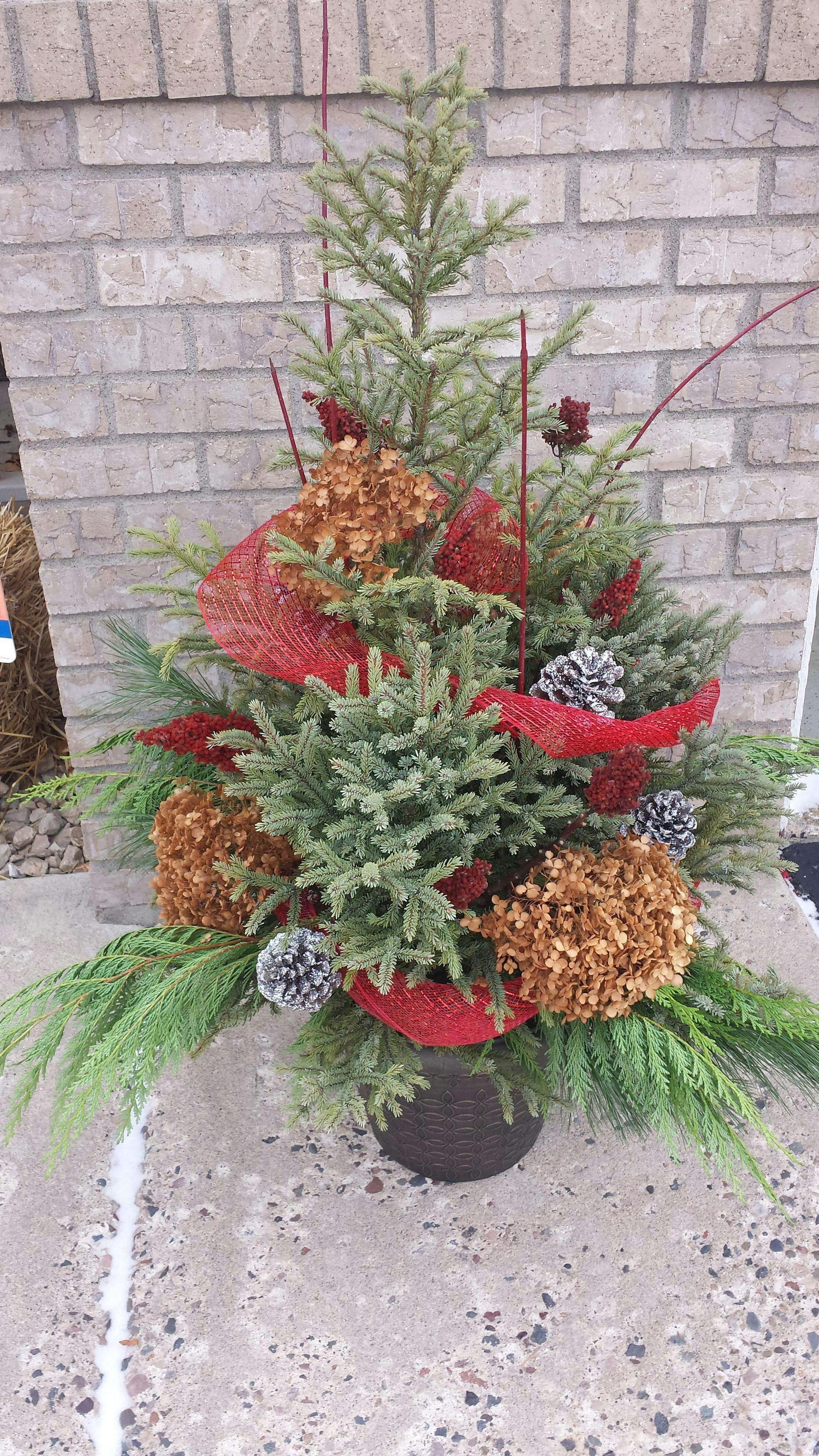 Holiday Spruce Tip Porch Pot