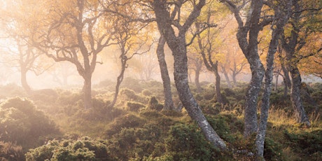 Beyond The Trees - Simon Baxter primary image