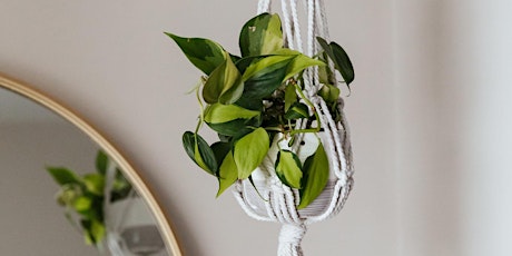 Hauptbild für Macrame Plant Hanger Workshop