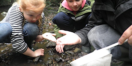 River Dipping - Kids Event