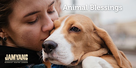 Hauptbild für Animal Blessings
