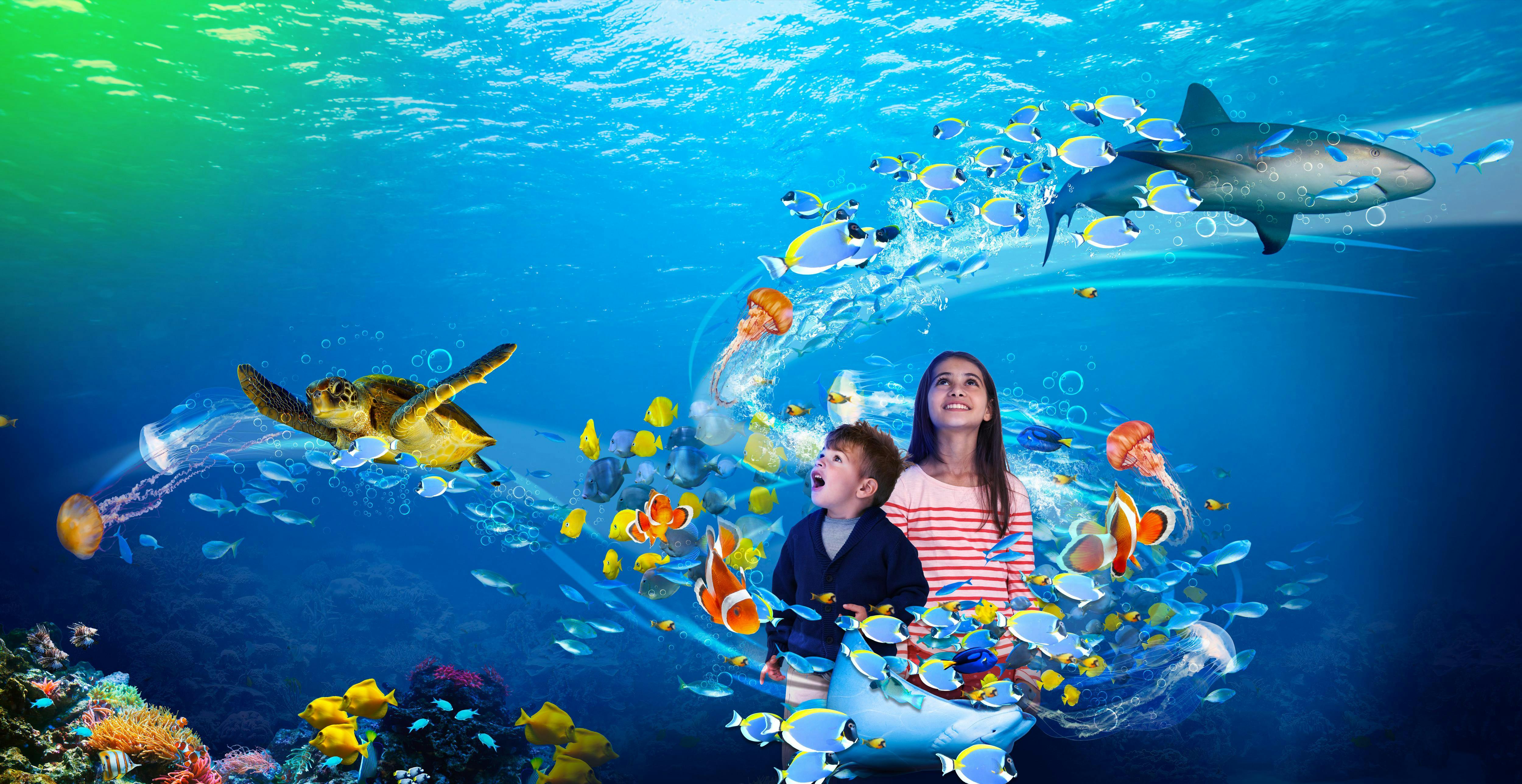 Отзыв sea life. Океанариум в Стамбуле Sealife. Аквариум Sea Life Стамбул. Морская жизнь. Интерактивный аквариум в Канкуне.