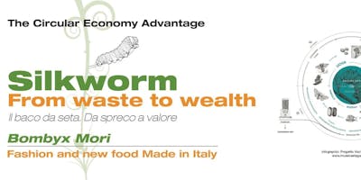 Economia Circolare Made in Italy: il baco da seta dal Fashion al Food Economia Circolare Made in Italy: il baco da seta dal Fashion al Food