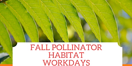 Fall Pollinator Habitat Workday primary image