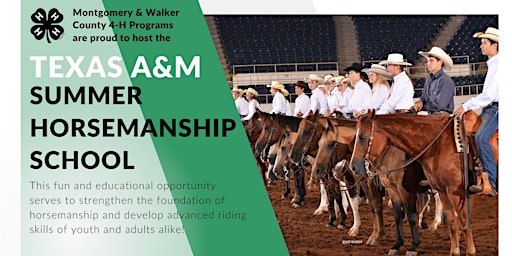 2024 Texas A&M Summer Horsemanship School primary image