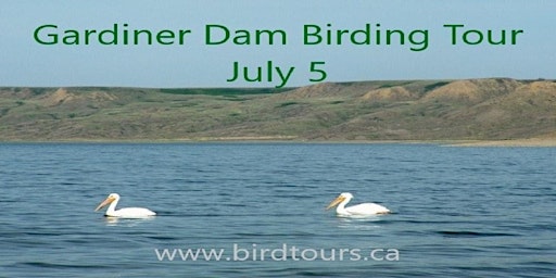 Gardiner Dam - Anerley Lakes Birding Tour from Saskatoon primary image