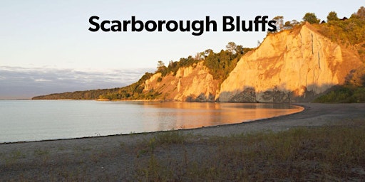 Scarborough Bluffs Walking Tour primary image
