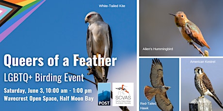 Queers of a Feather (LGBTQ+ Birding Event)