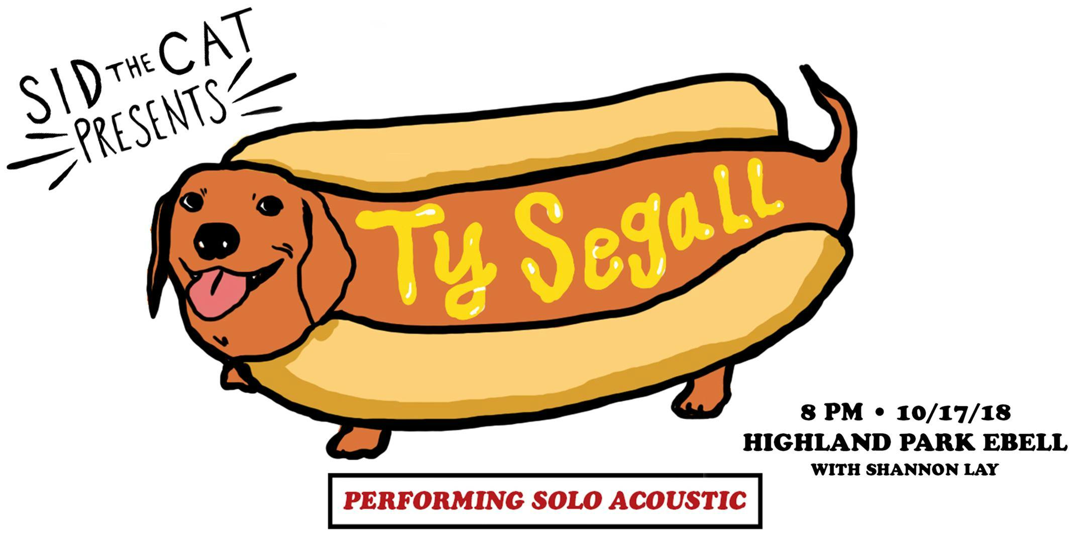 Ty Segall Solo Acoustic