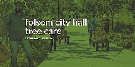 Folsom City Hall Tree Care