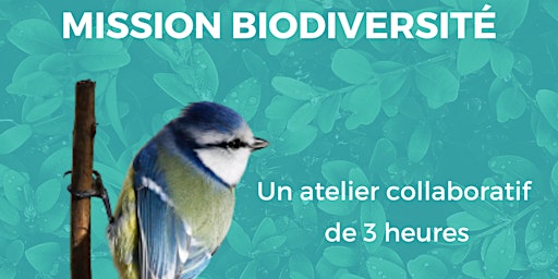 Image principale de Atelier Mission Biodiversité