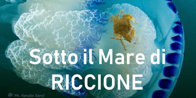 SOTTO IL MARE DI RICCIONE SOTTO IL MARE DI RICCIONE
