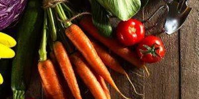 MANGIATORI DI PIANTE: PER RICONOSCERE LA PROVENIENZA DEL CIBO DALLE PIANTE MANGIATORI DI PIANTE: PER RICONOSCERE LA PROVENIENZA DEL CIBO DALLE PIANTE
