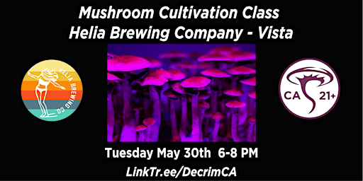 Magic Mushroom Cultivation Class in Vista on Tuesday May 30th 6-8 PM primary image