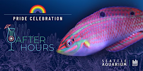 After Hours: Pride Celebration primary image