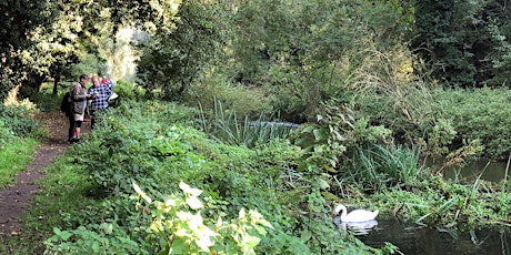 Give your Yeading Brook a physical health check with MoRPh Citizen Science!