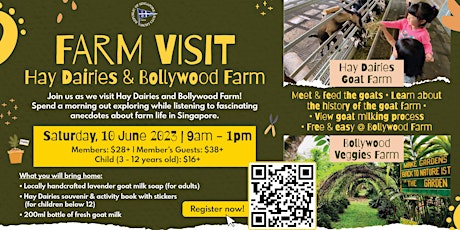 Farm Visit to Hay Dairies & Bollywood Farm