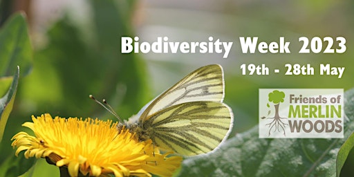 Biodiversity Week in Merlin Woods 19th-28th May primary image