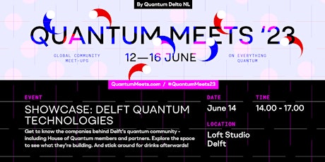 Showcase: Delft Quantum Technologies
