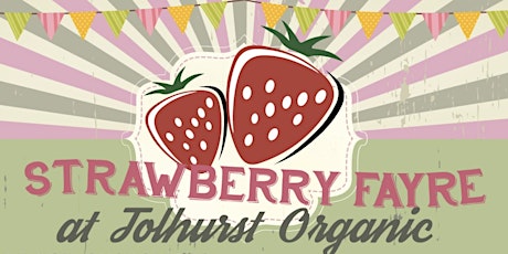 Strawberry Fayre at Tolhurst Organic primary image