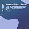 Maternity (NHS)'s Logo