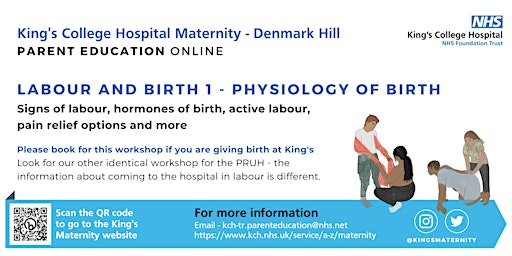 King's Maternity Antenatal Workshop 1: Physiology of Labour and Birth  primärbild
