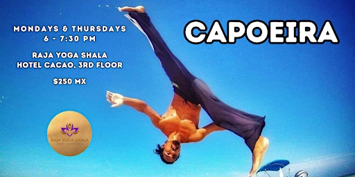 Capoeira: The Rhythmic Art of Movement