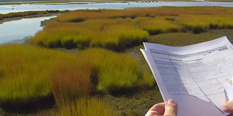 Imagem principal de Living Shorelines Permitting Workshop Apalachicola