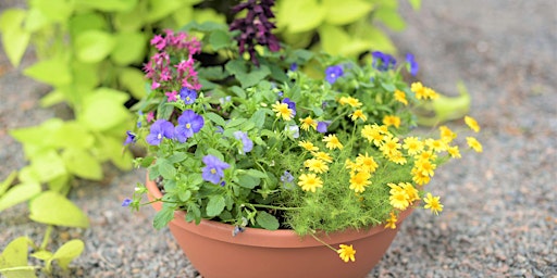 Make + Take: Pollinator Container Garden primary image