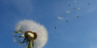 Parole al vento Parole al vento