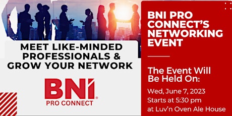 Networking Opportunity at Our BNI Visitor's Day
