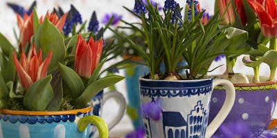 SCOPRIRE I BULBI A IPER LONATO - Workshop per un giardino o un terrazzo fiorito! SCOPRIRE I BULBI A IPER LONATO - Workshop per un giardino o un terrazzo fiorito!