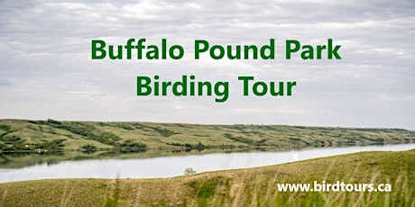 Buffalo Pound Park Group Birding Tour
