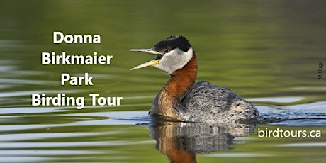 Donna Birkmaier Park Birding Tour - Saskatoon