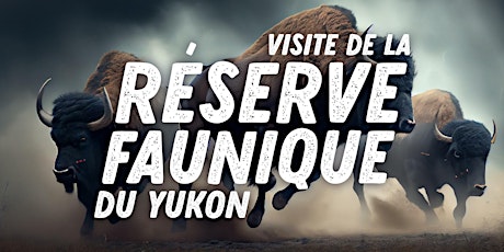 Visite de la Réserve faunique du Yukon