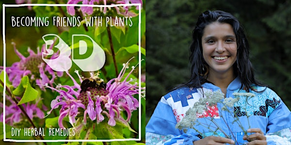 Becoming Friends with Plants: DIY Herbal Remedies  In Person Skill Share