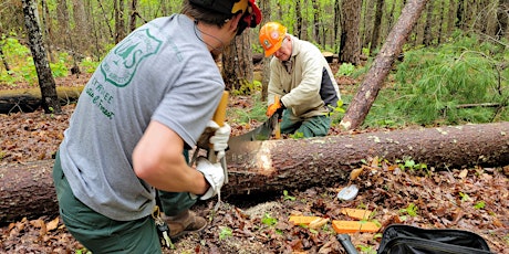 Big Laurel Branch Wilderness Volunteer Weekend