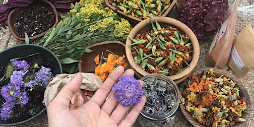 Hauptbild für Cultivating a Natural Dye Practice